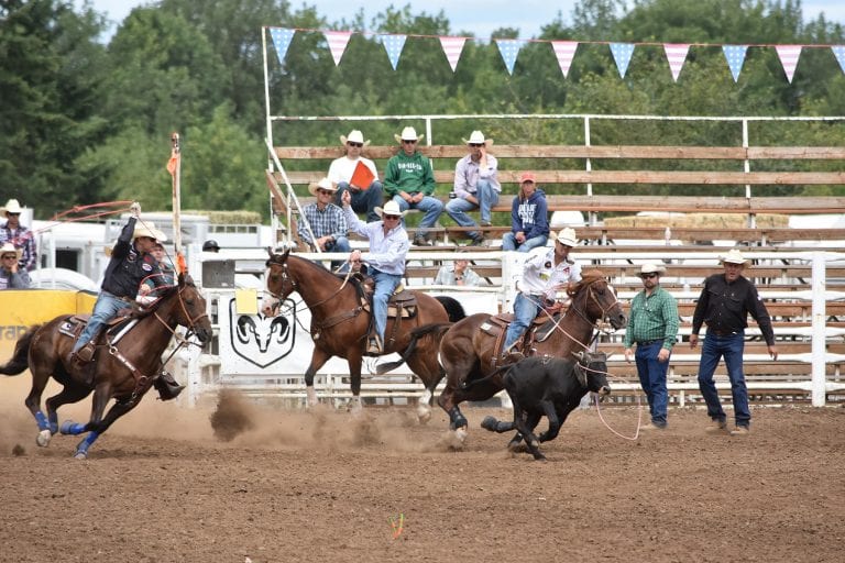 CSI Saddle Pad News CSI Saddle Pads