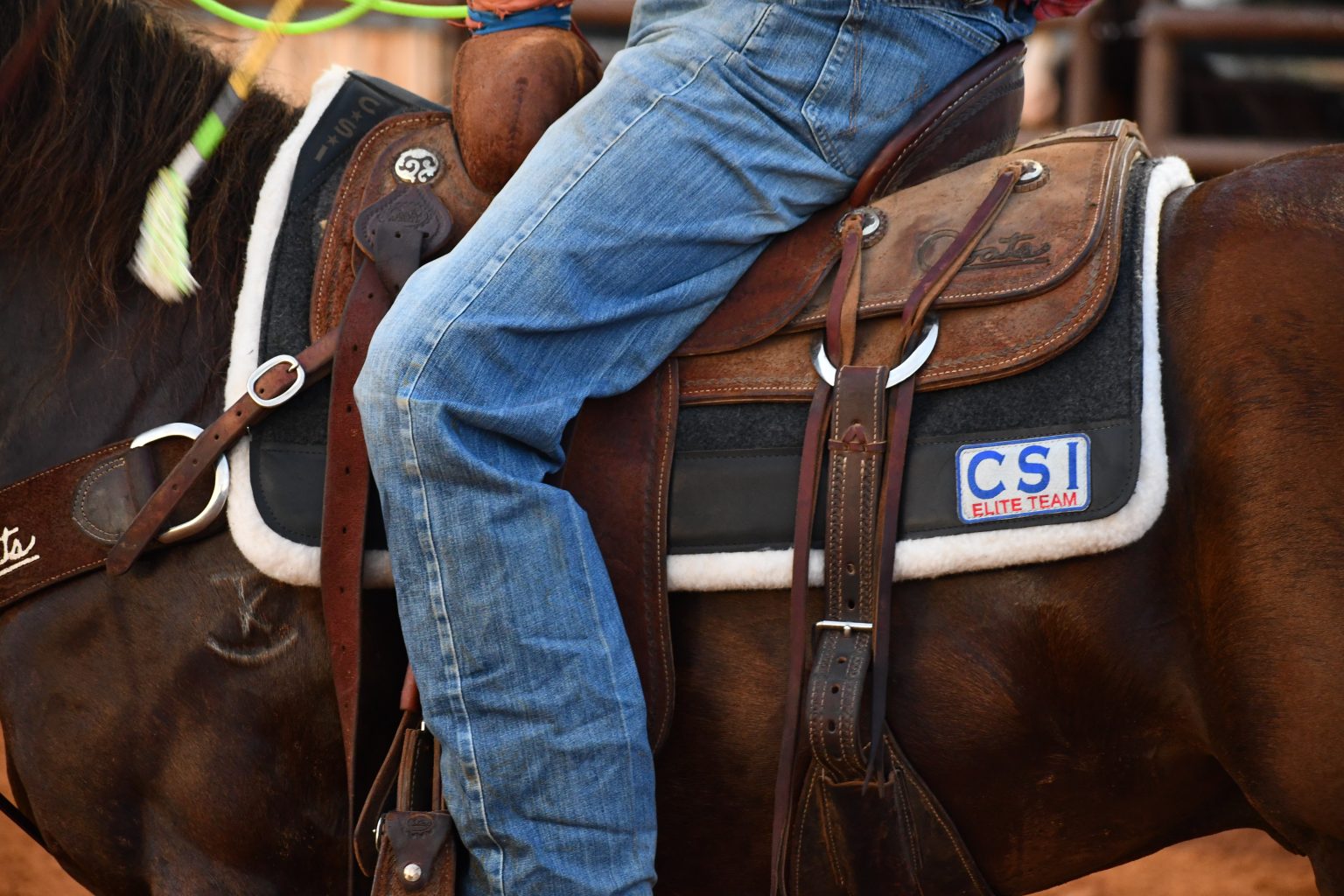 Find the Right Saddle Pad CSI Saddle Pads